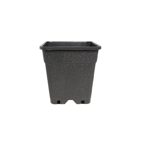 Fertraso Grow Pot Square 2 Liter 13x13 cm Schwarz