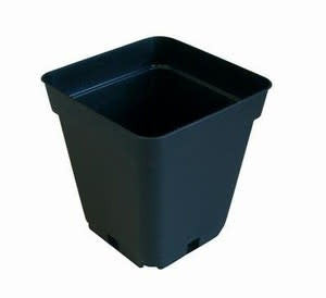 Fertraso Grow Pot Square 0,5 Liter 9x9 cm Schwarz